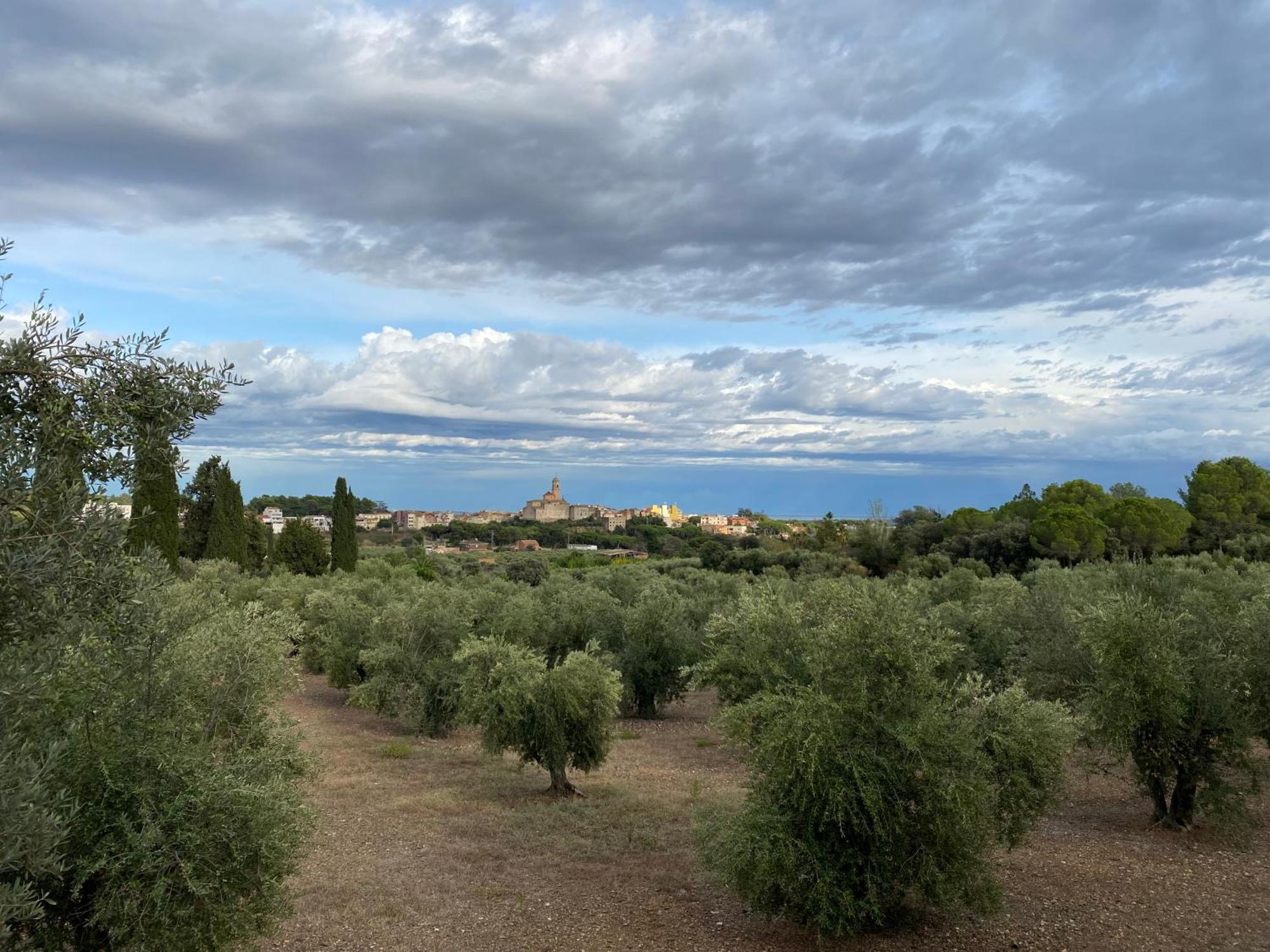 Lo Tros Villa Botarell Exteriör bild